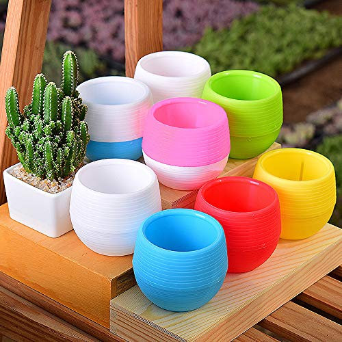 Homieco 5 Stück Plastik Blumentopf Bunte Kleine Blumentöpfe Rund Innen Pflanztöpfe mit Untersetzer für Büro Balkon Geländer