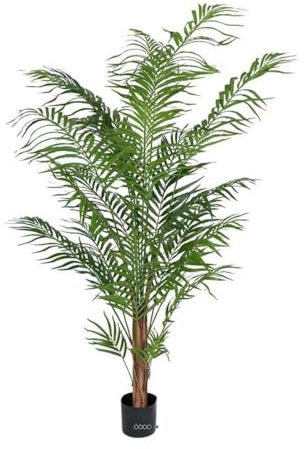 Artificielles.com Künstliche Areca-Palme, Höhe 180 cm, Höhe 180 cm, Grün