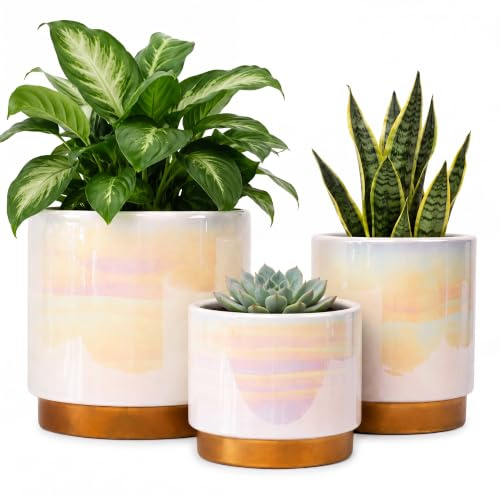 Gepege Weiße Blumentöpfe für den Innenbereich, Keramik-Übertopf mit Ablaufloch, 15,2 cm + 12,7 cm + 10,2 cm Sukkulenten-Orchideen-Blumentopf – Regenbogen-Perlenglasur