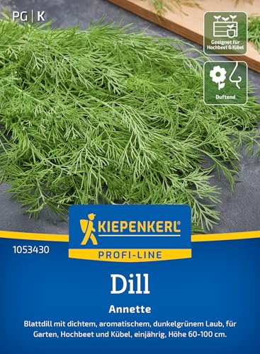 Kiepenkerl Dillsamen Annette 1053430, Kräutersaat | Kräutersamen für ein aromatisches Blattdill, Wuchshöhe 60-100 cm