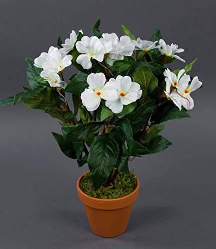 Seidenblumen Roß Impatiens/Fleißiges Lieschen 38cm weiß im Topf LM künstliche Blumen Kunstpflanzen Kunstblumen