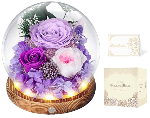 Ewige Rose im Glas Lila mit LED, Infinity Rose aus echter Blume, für Frauen | Echte konservierte Rose, jahrelang haltbar; zum Muttertag, Jahrestag, Geburtstag für Mama, Oma, Freundin