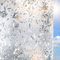 Privacy Window Film Self-adhesive Privacy Film Opaque No Glue Anti UV Decorative Stain Glass Film Window Covering Frosted Window Film Tulip (30x200cm)