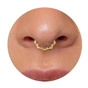 16G Flower Daith Hoop Earring Hinged Septum Nose Ring Gold Hinged Septum Ring Piercing