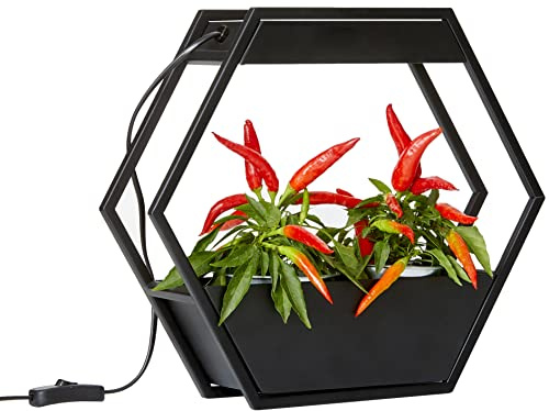 Northpoint Design LED Pflanzenlampe Pflanzenleuchte Kräutergarten Innengarten Gewächslampe Wandmontage Metallgestell 12W 750 Lumen Timer Industrial-Look Hexagon-Form