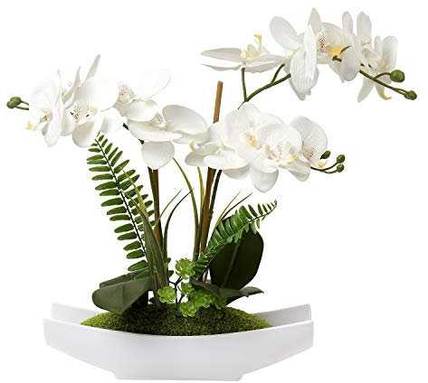 Hollyone Künstliche Orchidee im Keramiktopf - Phalaenopsis Bonsai Wie Echt für Wohnzimmer und Badezimmer Deko, Weiß