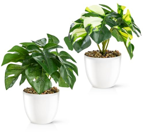 PASCH® 2er Set Kunstpflanzen wie echt (18cm) in Hochglanz-Keramiktöpfen | Kunstpflanzen im Topf | Künstliche Pflanzen im Topf | Kunstblumen Fake Plant
