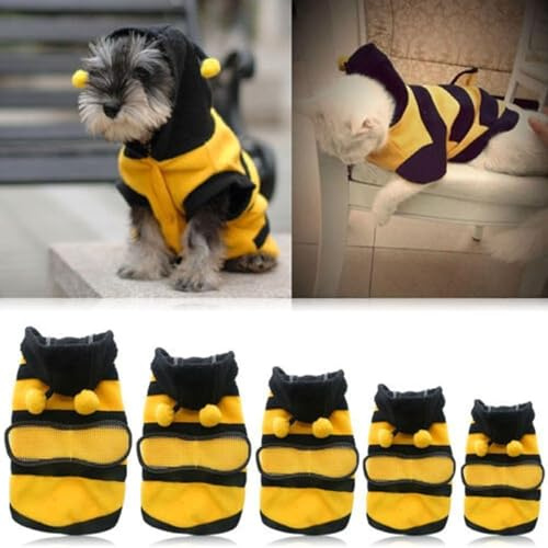 Hunde Biene Hundemantel, Aartner Hundemantel für Kleine Hunde, Warme Jacke für den Winter, Hundekleidung für kleine und mittelgroße Hunde, Kätzchen, Welpen, Ferkel (XXS)