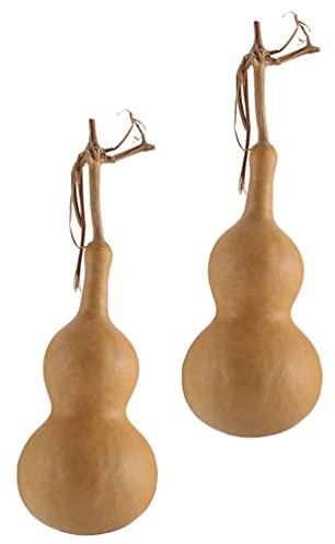 TOYANDONA 2 piezas natural forma de calabaza ornamento suerte adorno coleccionable figura gourd práctica decoración de escritorio verdadera botella de vino seca calabaza colgante DIY Artesanos
