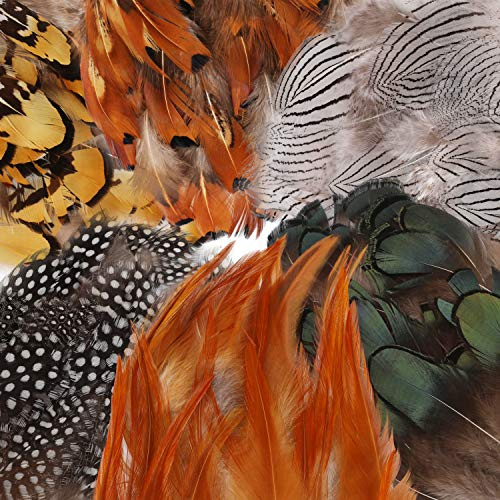 180Pcs 6 Styles Assorted Craft Feathers, Mwoot Natural Chicken Feathers for DIY Earring Wings Dream Catcher Crafts Activities Wedding Home Decoration Party