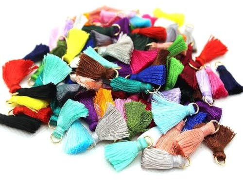 Wisafory 100 Stück Mini Quasten Anhänger Bunte Handgefertigte Baumwolle Troddel Charms Basteln Fransen Schlüsselanhänger Weich Klein Tassel Taschenanhänger für DIY Schmuckherstellung 2cm