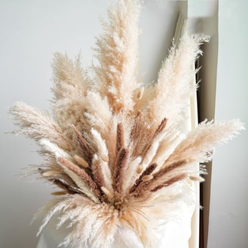 Decorative Tall Pampas Grass for Floor Vase – Premium Large Pampas Grass Decor Tall, 17-40 Pampas Grass Stems, Dried Pampas Grass Decor Tall, Natural Pampas Grass with Beige Decor and Boho Feathers