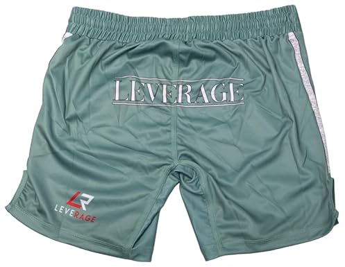 Leverage MMA BJJ herrshorts - NoGi Jiujitsu, kickboxning, surfing, sommar, gym, träning - present till män, Arxaio, 42/44