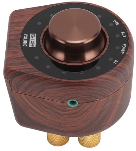Sxhlseller Amplificador Digital de Sonido Estéreo HiFi 5.0 para Teléfonos Móviles, Tabletas, Computadoras, Televisores 100Wx2 2.0CH, para Audiófilos Material: Metal, Electrónica