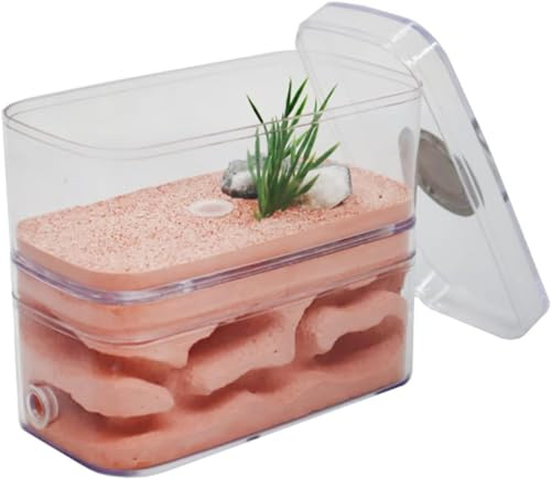 ININOSNP Acrylsäure-Ameisennest-Burg Hochfeuchtigkeitsspendende Ameisenfarm, natürliches ökologisches Ameisenhaus, Insektenbox, Villa, Haustier-Ameisenhügel, Schloss mit Werkstatt