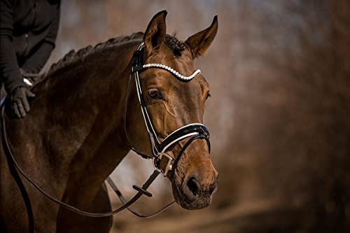 Horsecode Trense Moonlight Diamond W Vollblut