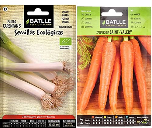 Puerro Grueso de Carentan 3 - ECO & Zanahoria SAINT VALERY