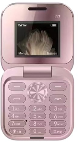 Mini Flip Mobile Phone for Elderly, Simple Non-Smart Backup Phone - 2G Dual SIM with Large Keypad, FM Radio & Speed Dial, Easy-to-Use Basic Cell Phone for Parents & Seniors (Pink)