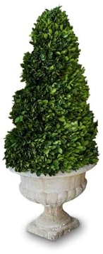 Loberon Deko-Baum Humbria, in Handarbeit gefertigt, mit Topf im französischen Stil, immergrün, Dekoration, Buchsbaum, Styropor, Terrakotta, grün/Creme