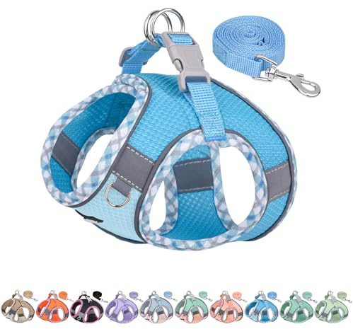 AIITLE Ensemble Harnais et Laisse pour Chien, Harnais Anti-Traction pour Chiot avec Maille Super Respirante, Essentiels pour Chiots pour Petits Chiens, Chats Bleu XS