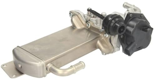 Delphi Technologies EG10576-12B1 Valvola EGR