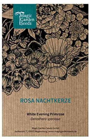 Enotera rosa (Oenothera speciosa) circa 300 semi di questa pianta perenne da giardino roccioso, da prateria, attira api
