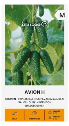 Zalia Stotele | Concombres à mariner - Graines Avion H | Graines de légumes | Planter des graines | Graines de concombre | Graines de jardin | Variété précoce, autogame | 1 paquet