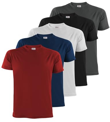 ALPIDEX T-Shirt Herr S-5XL 5 Pack Basic Kortärmad 100% Bomull Träning Sport | 175 g/m², Regular Fit, Rund Hals, OEKO-TEX, Andningsbar, Maskintvätt, Fritid, Vardag