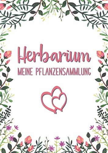 Herbarium Meine Pflanzensammlung: Herbarium zur Pflanzenaufbewahrung | mit vorgefertigten Etiketten zur Pflanzenbestimmung | ausreichend Platz für ... und Blätter | Motiv: Bunter Blumenrahmen