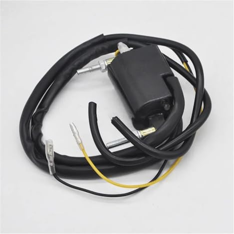 Motor Zündspule Für Kawasaki KZ400 KZ440 KZ900A KZ1000 AB KZ750-G ZN1100 B Motorrad Zündspule 12V Zündspule