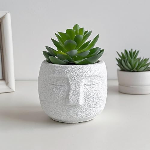 Mr.Bom Artificial Succulent Ornament in White Cement Face Planter Small Potted Fake Plant for Indoor Outdoor Decor & Gift