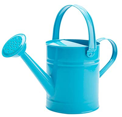 Hemoton - Regadera de metal para niños, 5 L, regadera simple, para niños, color al azar, color al azar