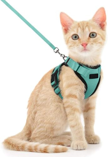 Voarge Pettorina Regolabile per Gatti con Cinghia da 150 cm - Sicurezza per Gatti di Piccola, Media e Grande Taglia, Adulti e Cuccioli - Harness per Passeggiate e Viaggi (XS) (Blu lago, S)