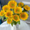 semillas de girasol perennes resistentes - semillas de jardín de flores resistentes semillas de girasol Invernaderos de balcón con plantas perennes resistentes Semillas de bonsái para 30pcs