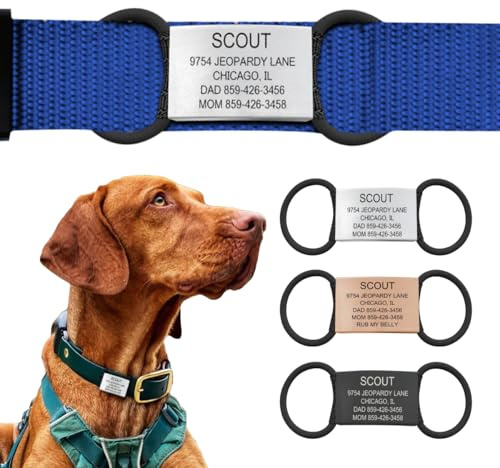 Personalized Dog Tags by ROAD iD | Silent & Durable | Jingle-Free Slide-On Design | Stainless Steel Name Tag Fits Any Collar | Multiple Colors & Sizes for Your Pet's Unique Style