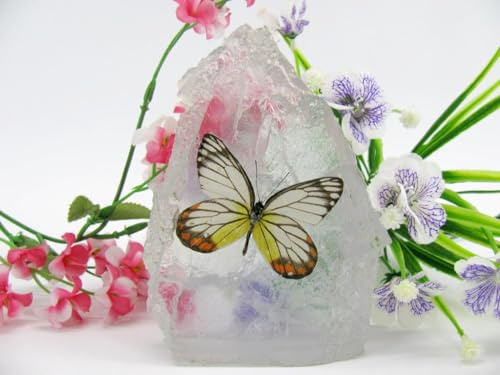 In Kunstharz gegossene Schmetterlinge, Insekten, Skorpione und mehr. Briefbeschwerer, Icemountain, nicht scharfkantig (Schmetterling 27)