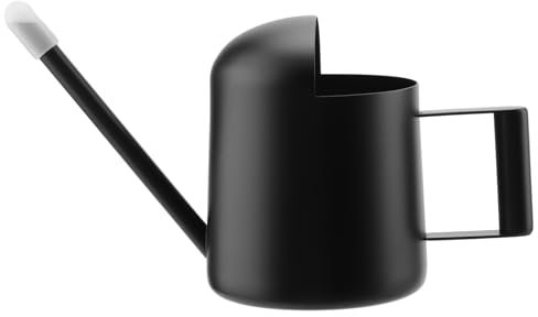 PUCSIQ 300ml Schwar Gießkanne Klein Zimmerpflanzen, Edelstahl Gießkanne Mini, mit Langen Hals für Innen Sukkulenten und Topfpflanzen