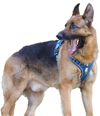 Coogime Hundegeschirr No Pull Brustgeschirr Reflexstreifes Geschirr für Hunde Sicheres Welpengeschirr Führung Einstellbar Weich (blau, l)