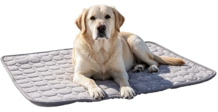 Generisch Kühlmatte selbstkühlend für Hund Und Katze, Neu Selbst Kühlende Hundematte Sommer, rutschfest, Tragbar Waschbar Pet Cooling Mat für Zuhause, Auto & Reisen