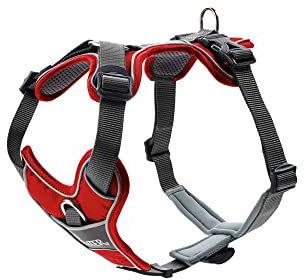 HUNTER DIVO hundsele, S-M, 52–68 cm, röd/grå