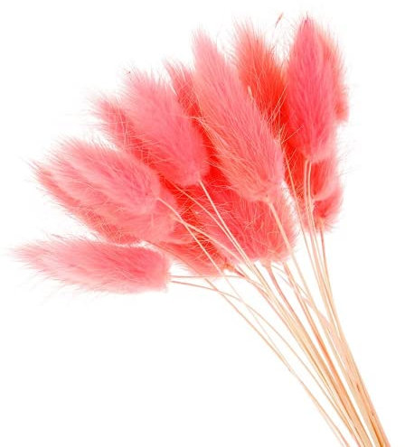 YIWOYI 50 natürliche getrocknete Blumen, Plüsch, bunte Blume, Kaninchenschwanz, Gras, Fuchsschwanz, lange Bündel, künstliche Pflanzen, Dekoration (Rosa)