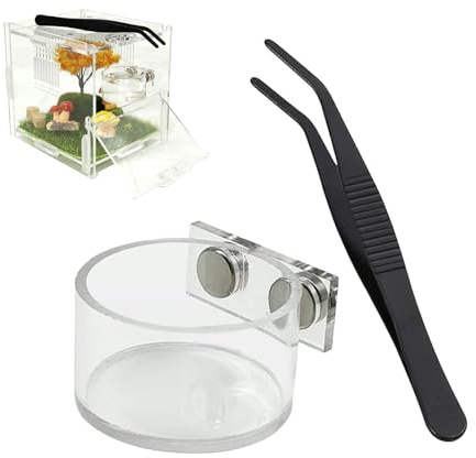 Generisch Set di ciotole per acqua, rettili, con pinzette, dispenser per mangimi, per terrario ragnatela, adoratrice, granchio eremita, serpente