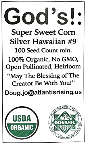 100% Organic, Silver, Hawaiian #9, Super, Sweet Corn, Heirloom, Open Pollinated, Non GMO