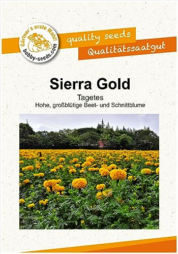 Blumensamen Sierra Gold, hohe Tagetes Portion