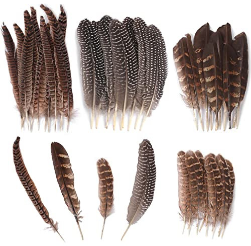 Ticeed 40 Stück Naturgemischte Federn Deko & Bastel DIY Traumfänger Kostüm Karneval Halloween Kranz (Braun, 4 Größen)
