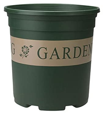 Duiaynke Vasi da fiori per piante, contenitore per piante da vivaio, da tavolo, per piantare fiori, verdure, bonsai (M)