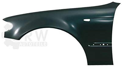 Diederichs Kotflügel Fender vorne links für BMW 3er E46 ab 09.01, Metall, Auto, Klassisch