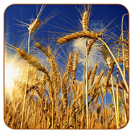 GORDESC Square Coasters for Drinks Plant Reed Phragmites Autumn Print Leather Mugs Mat for Wood Glass Furniture Coffee Tabletop Protect,Set of 6