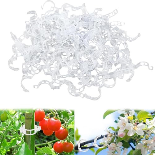 ChunDA 200 Stück Pflanzenclips für Kletterpflanzen, Tomaten Rankhilfe, Rankhilfen für Kletterpflanzen Pflanzenklammern, Ranken Clips, Blumen klammern für Gemüse Pflanzen Befestigung