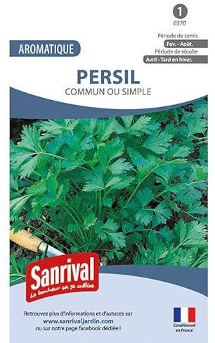 Graines persil commun